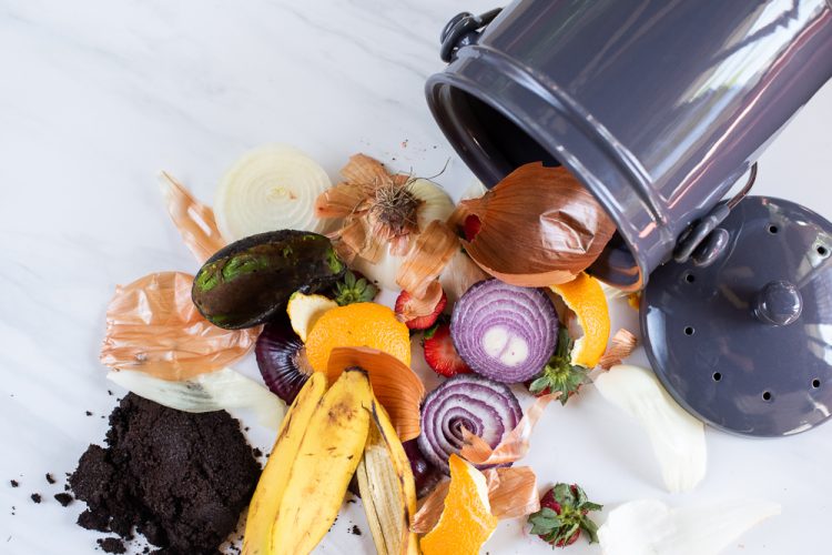 How To Store Food Scraps For Composting At Home - Honestly Modern