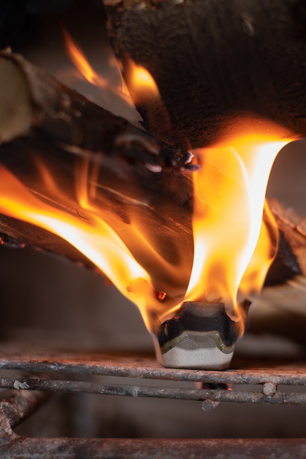 How to Repurpose Old Christmas Trees into DIY Fire Starters - Honestly ...