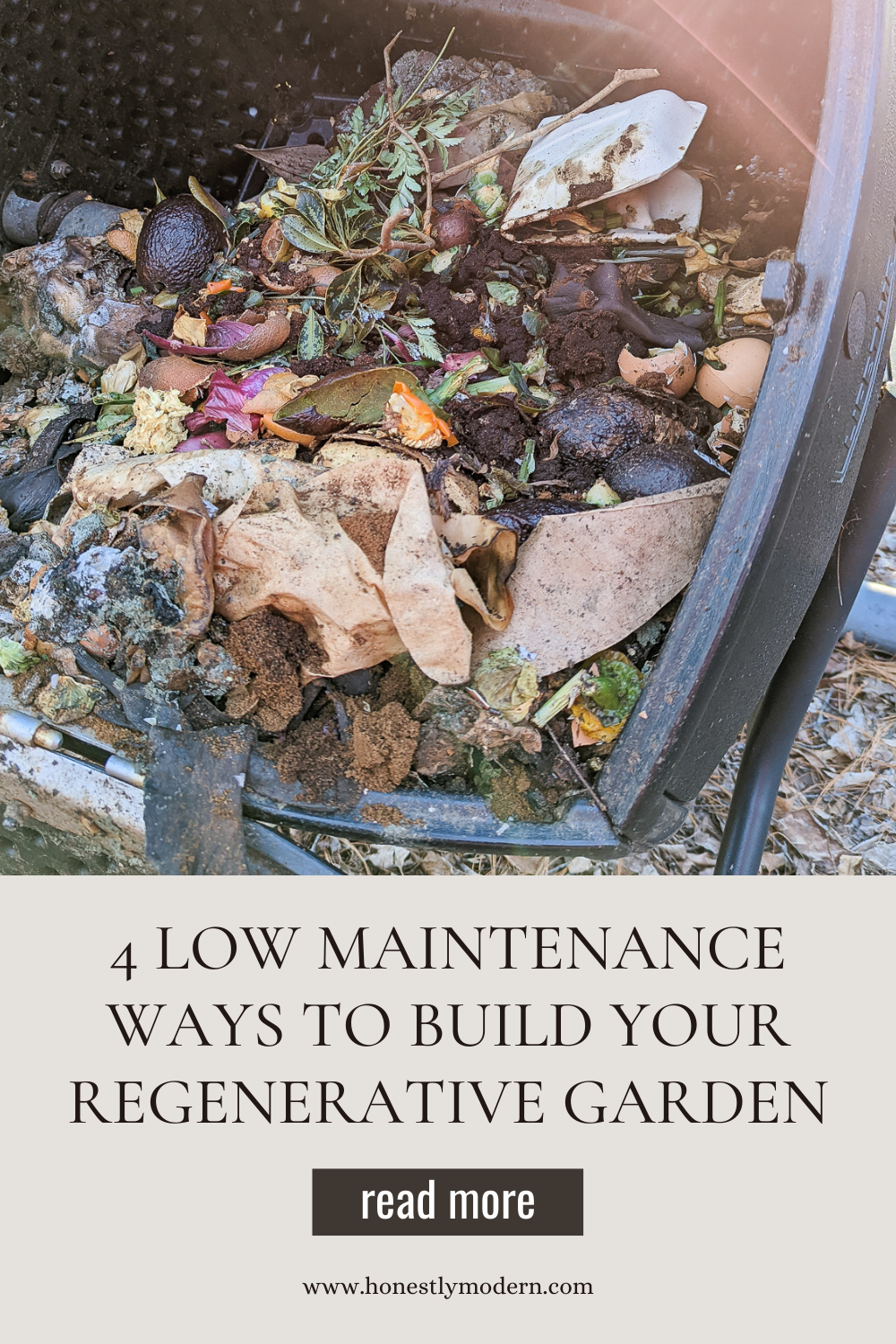 4 Easy Ways To Build Your Regenerative Garden - Honestly Modern