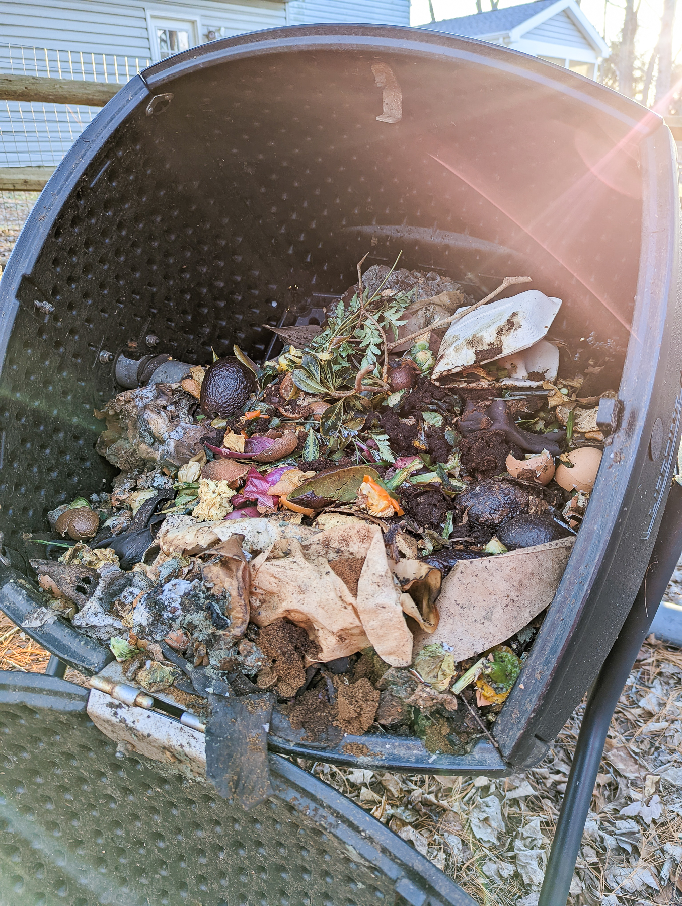 4 Easy Ways To Build Your Regenerative Garden