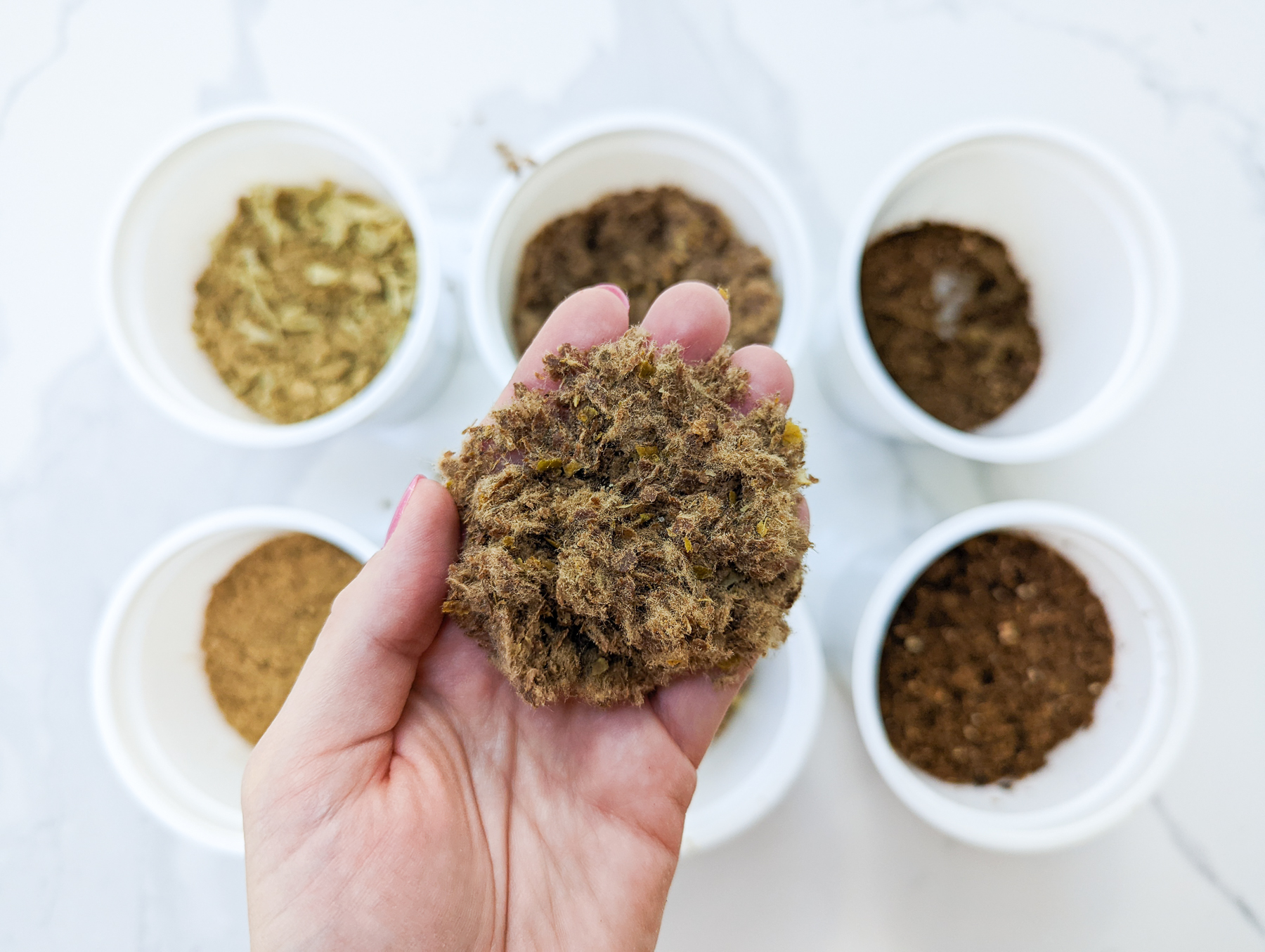 Lomi vs FoodCycler + 5 Reasons NOT to Buy an Electric Composter