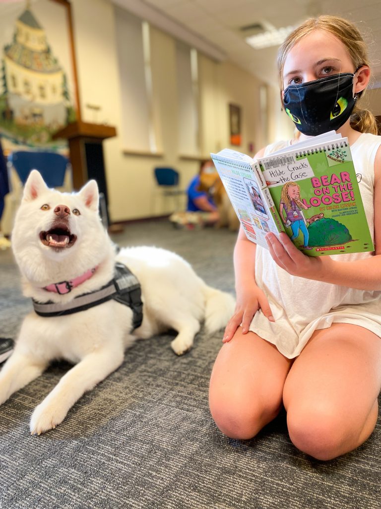 How to Use the Library | Connect with Pets