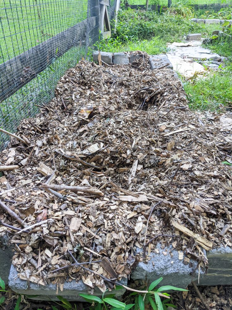 mulch in disarray after burying FoodCycler food grinds underneath and animals smelled it, digging for food