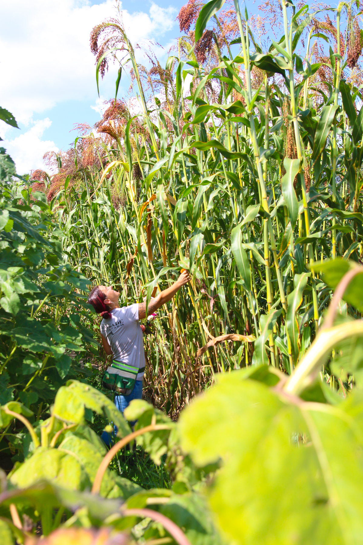 Sustainability Side Hustle | Renegade Flower Farm