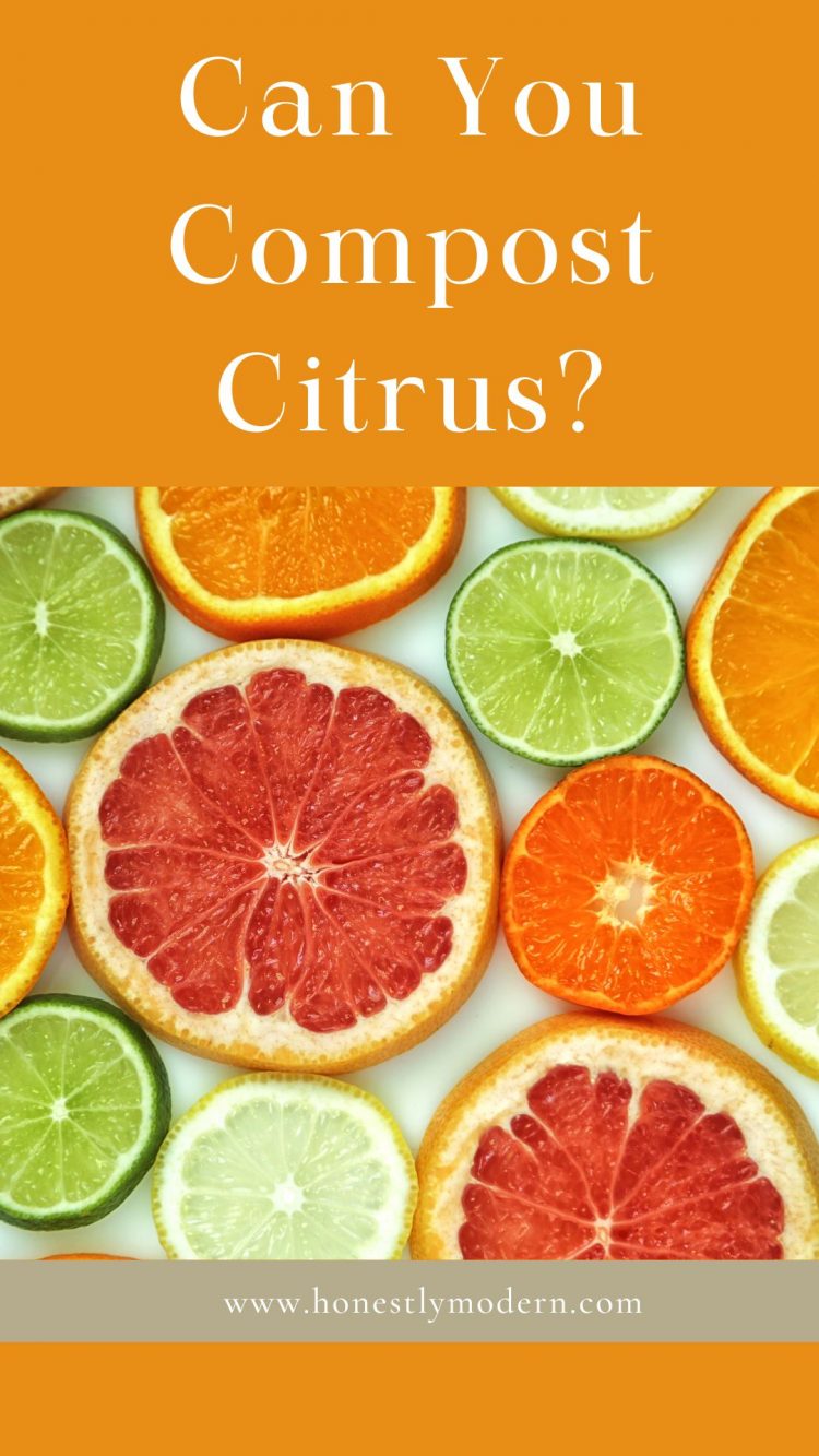 Using orange peel to deter pests – an organic way to regain control over your garden, Lifestyle
