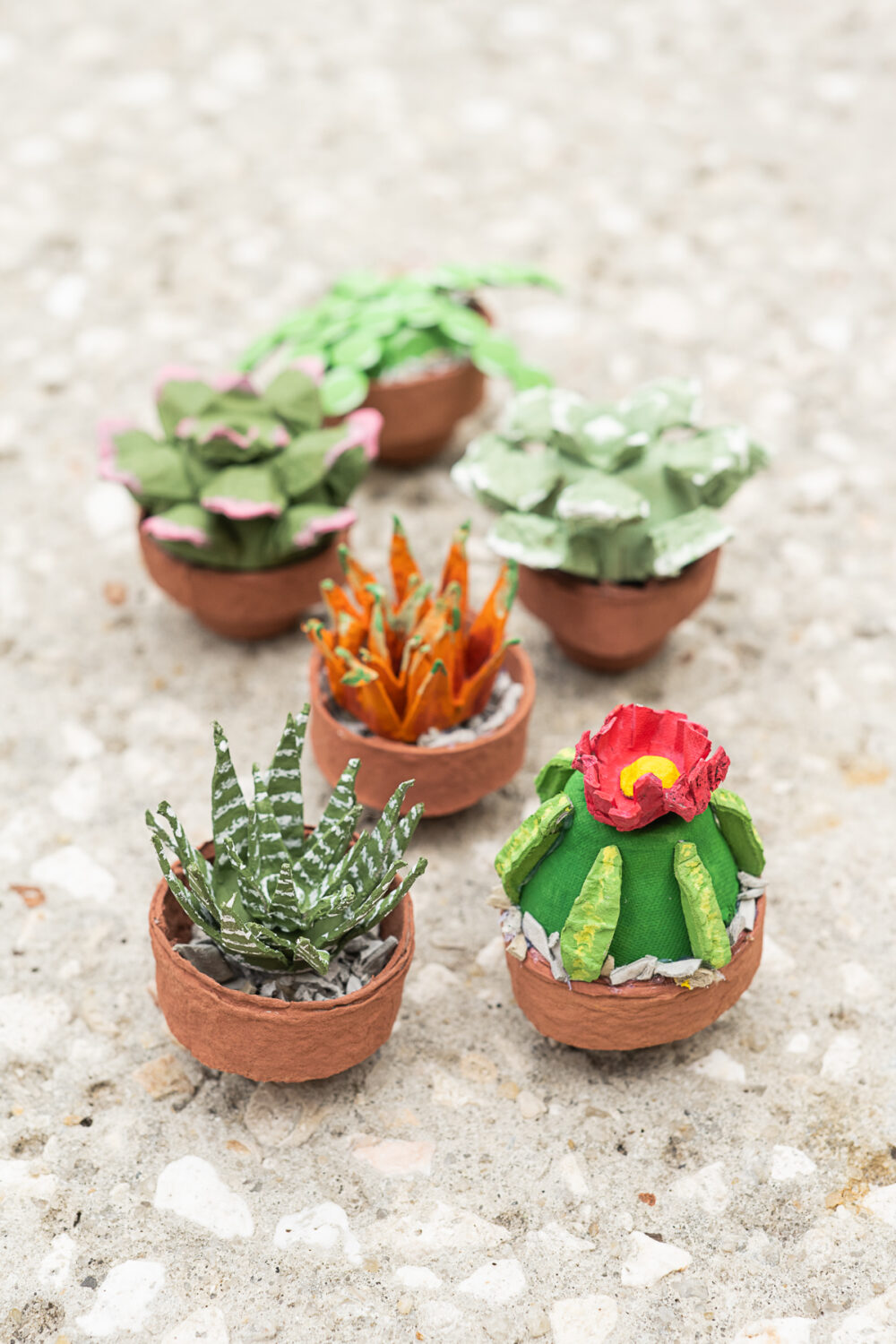 DIY Egg Carton Succulent Garden