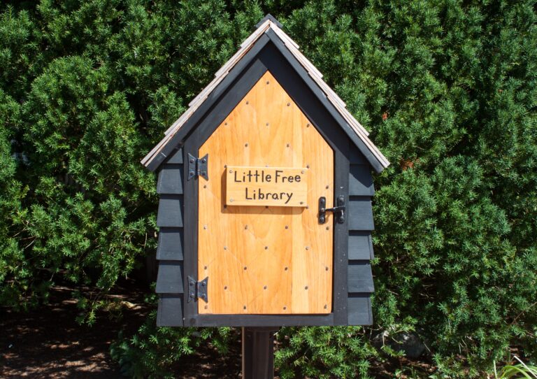 10 Things I Learned From My First Year as a Little Free Library Steward