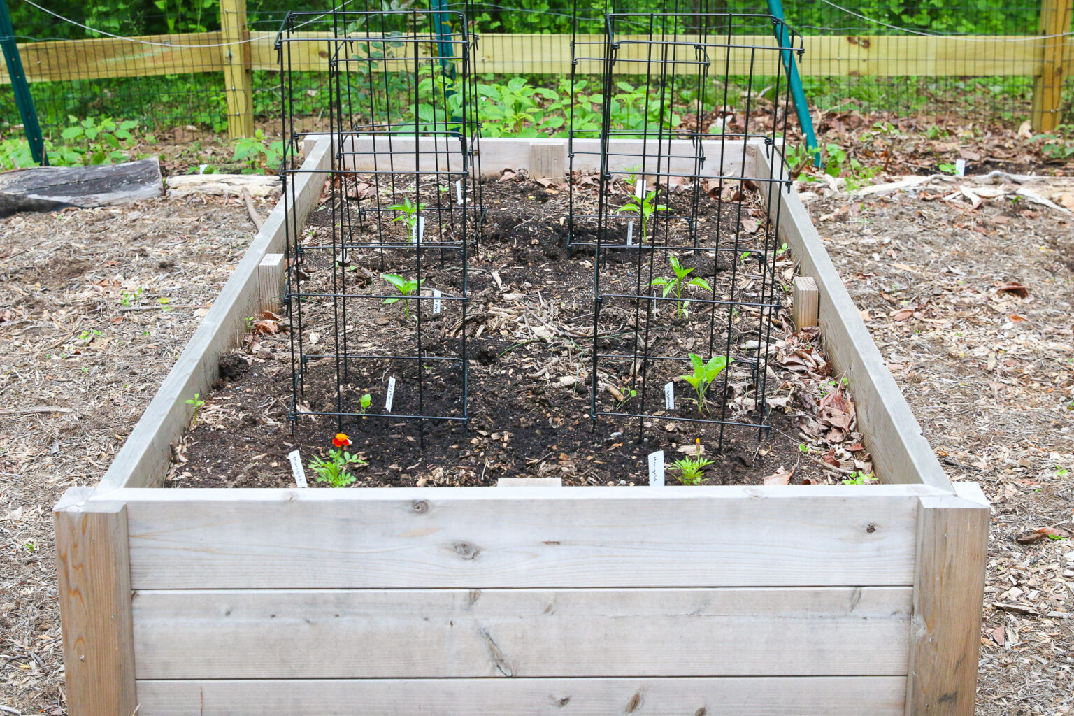 10 Regenerative Tips For Healthier Soil in Your Garden and Yard ...