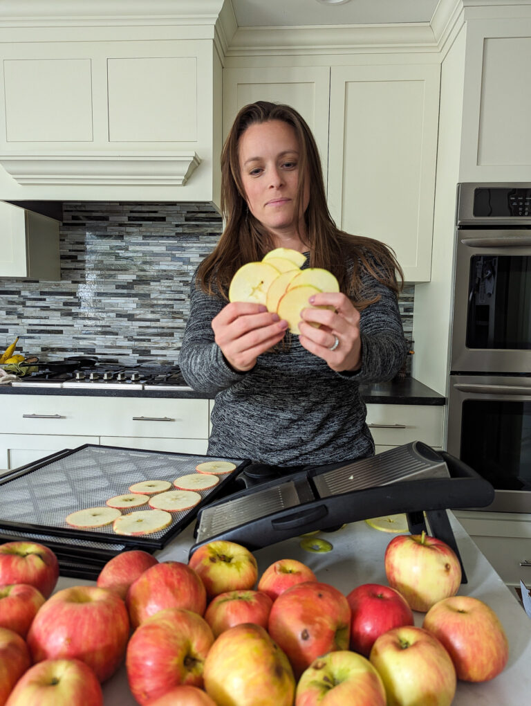 Easy Apple Chips Recipe