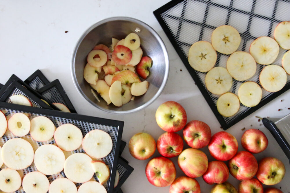 Easy Recipe for Homemade Dried Apple Slices - the Perfect Fall