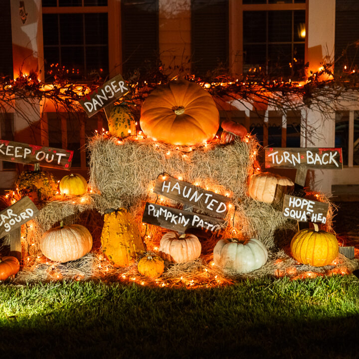 DIY Haunted Pumpkin Patch