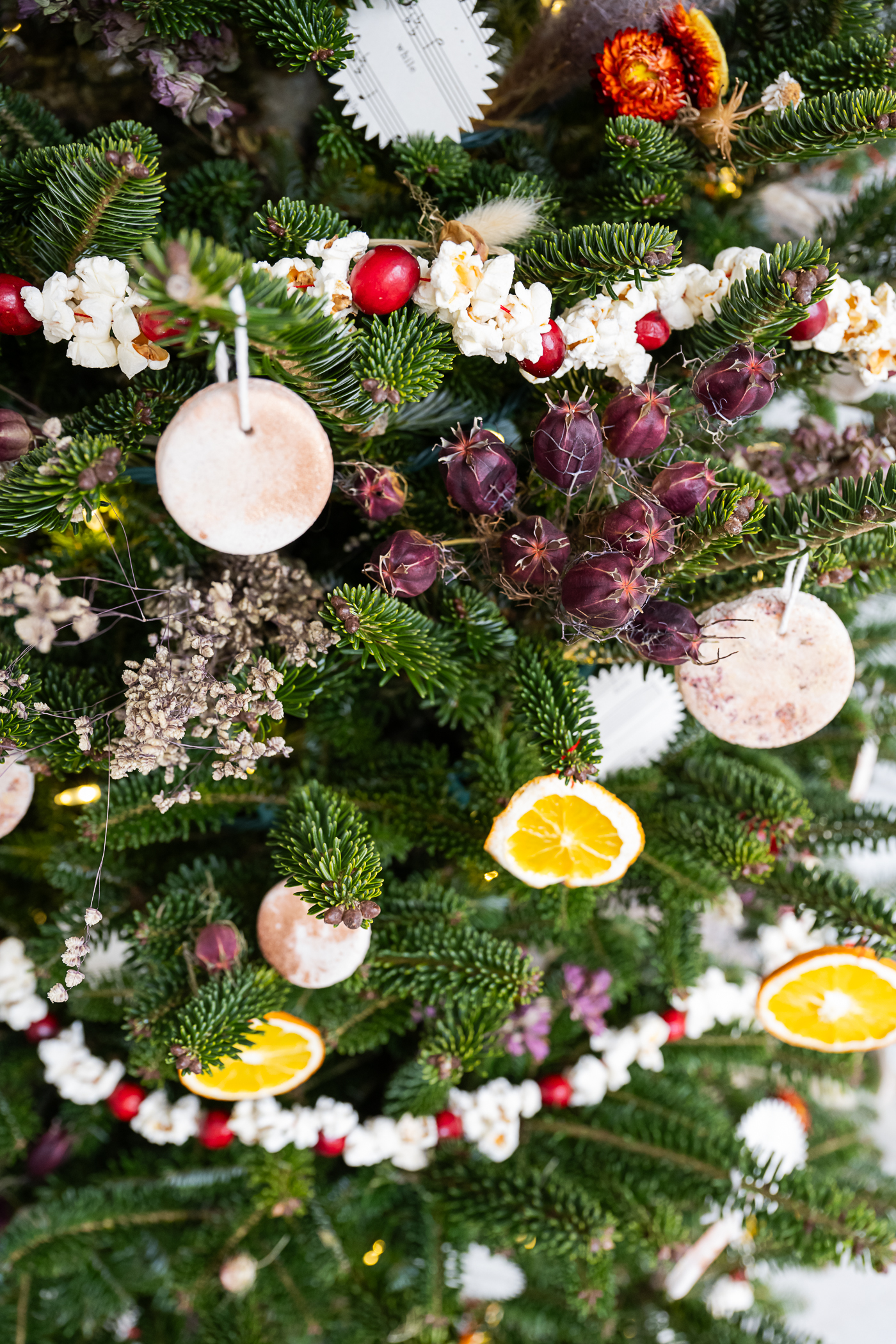 Gorgeous & Fully Compostable Christmas Tree Decorations (Except the Lights)