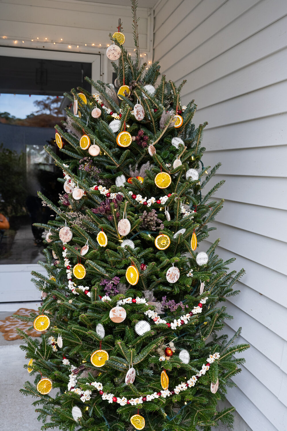 Compostable Christmas Tree Decorations