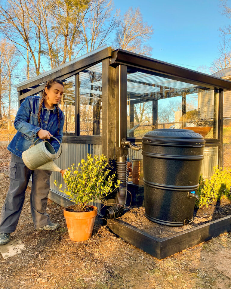 Q&A with Melanie Gnau: Insight on joyful, practical ways to live more sustainably